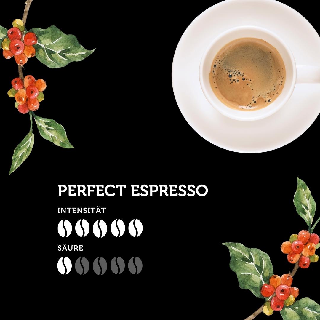 Perfecto Espresso