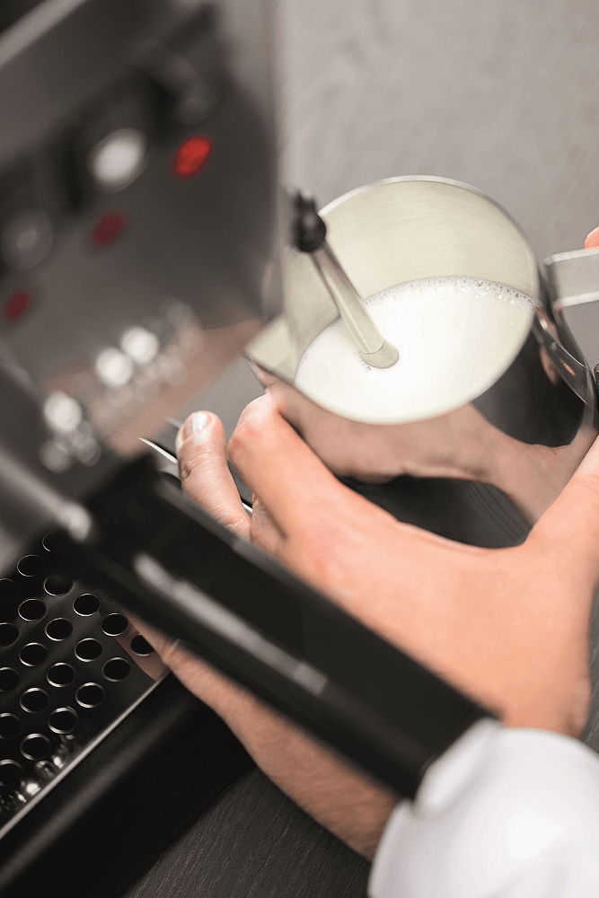 New Classic-Espressomaschinen-Gaggia-Beutelschmidt